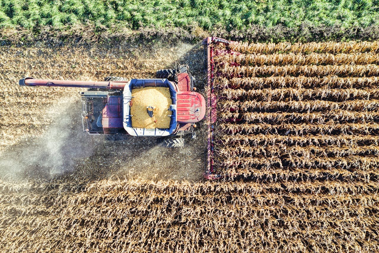 High-angle shot of a combine harvester at work in a cornfield in Minnesota.