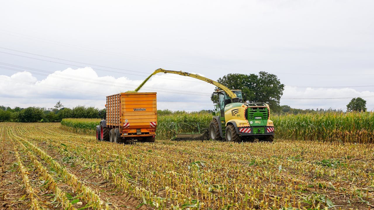 Tractor harvesting corn in Lütau, Schleswig-Holstein, showcasing modern agriculture.