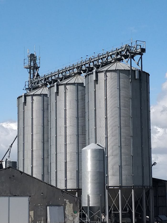 pexels photo 36181870.jpeg